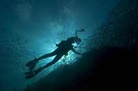Dive photographer